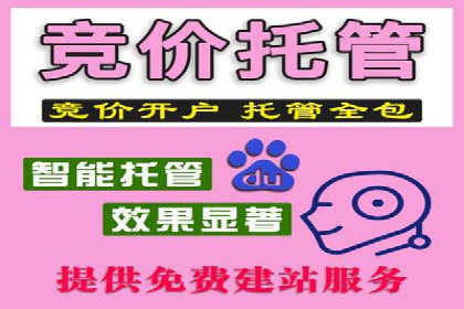 案例展示：SEM代运营服务公司助力企业品牌建设